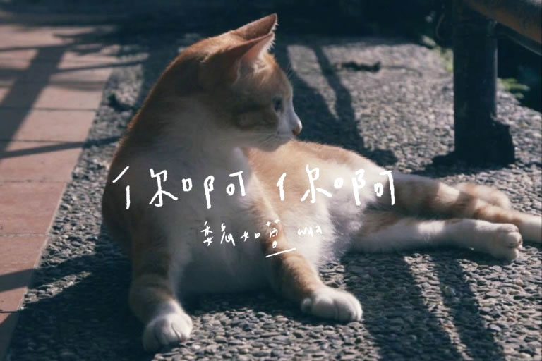 魏如萱 你啊你啊吉他谱