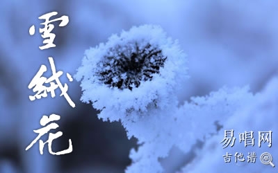 雪绒花吉他谱 易唱网 音乐之声
